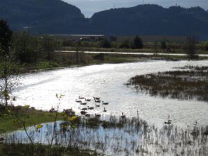 10 Squamish estuary (Squamish)