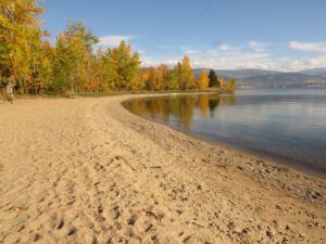 10 golden beach (And The River Still Sings still on the move.)