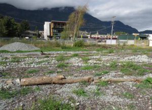 13 art installation 2 (Squamish)