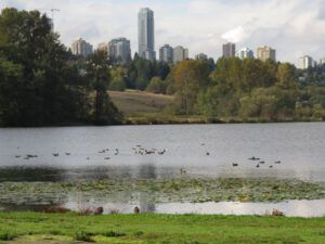 15 burnaby (Thanksgiving on Gabriola Island)