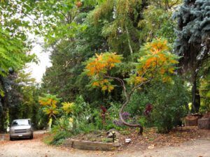 4a yard and car (And The River Still Sings still on the move.)