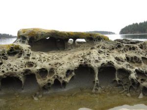 7 worn rock holes (Thanksgiving on Gabriola Island)