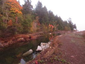 xxx 1 union bay river (And the River Still Sings crosses the sea)