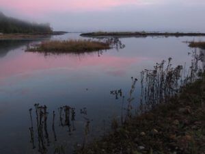 xxx 2 estuary (And the River Still Sings crosses the sea)