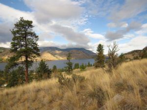 1 ocean falls (And The River Still Sings Goes Home!)