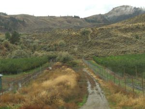11 border fence (And The River Still Sings Goes Home!)