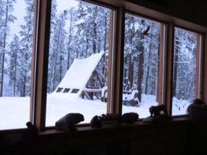 12 snowy panels (A Real Winter for a Change?)