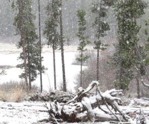 13 snow (Super-Sarah – Wonder Wwoofer!)