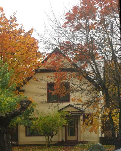 16 revelstoke house Wilderness Dweller