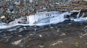 16 shore ice on twig (Weather!)