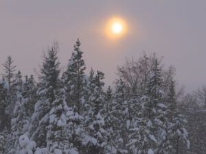 18 sun at last (A Real Winter for a Change?)