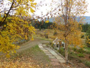 19 Gudie’s garden (And The River Still Sings Goes Home!)