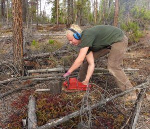 19 chainsawing (Super-Sarah – Wonder Wwoofer!)