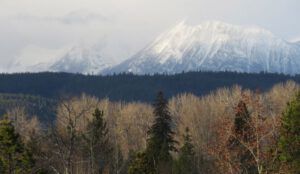 2 murky mts IMG_0650 (Super-Sarah – Wonder Wwoofer!)