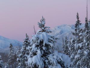 20 pink light (A Real Winter for a Change?)