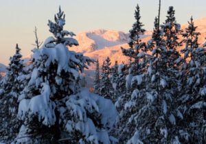 21 pink mts (A Real Winter for a Change?)