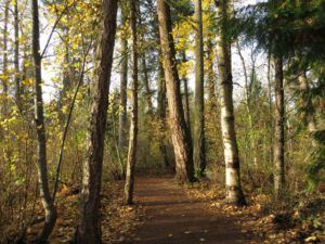 23 wood trail (And The River Still Sings Goes Home!)