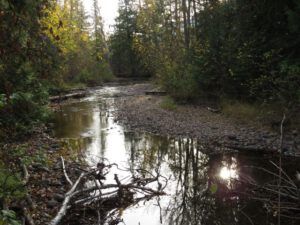 24 backwater (And The River Still Sings Goes Home!)