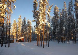 25 back door (A Real Winter for a Change?)