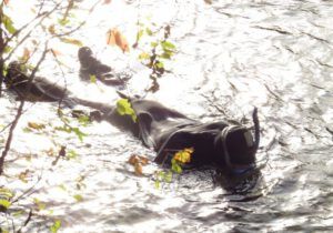 30 one photographer (And The River Still Sings Goes Home!)