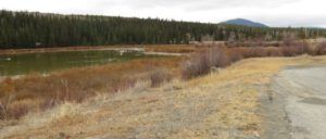 32 rest stop pond (And The River Still Sings Goes Home!)