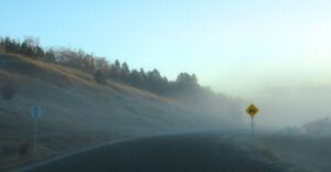 4 fog at Tatla (Super-Sarah – Wonder Wwoofer!)