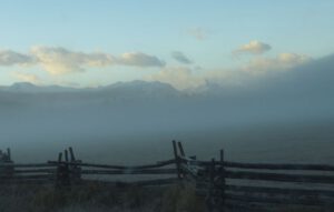 5 Niuts in fog (Super-Sarah – Wonder Wwoofer!)