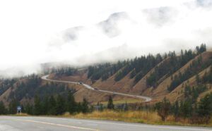 7 sheep hill (Super-Sarah – Wonder Wwoofer!)