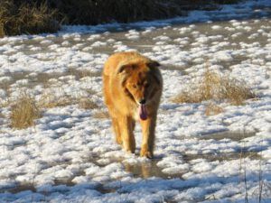 7a harry on pond (Weather!)