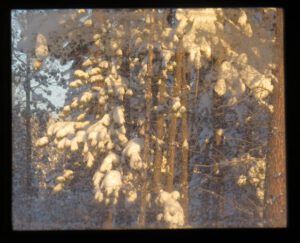 IMG_1027 (A Real Winter for a Change?)