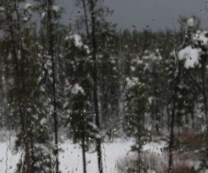 1 rain (Winter Thaw.)