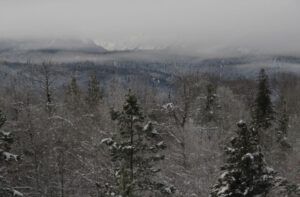 1. ice fog lid (End of 2014)