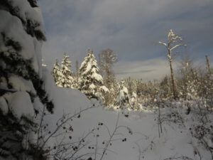 10 sun and shadow (Winter Wonderland)