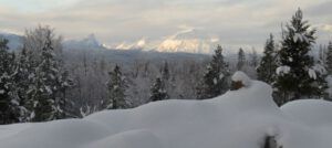 14 gleam of sun (Winter Thaw.)