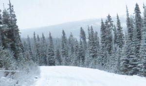14. into snow (Down the Bella Coola Hill)