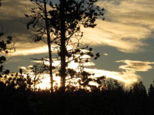 16. Solstice morning (Down the Bella Coola Hill)