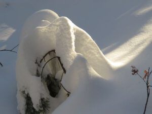 7 snow light (Winter Wonderland)