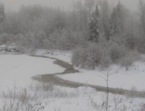 7a river gloom (Winter Thaw.)