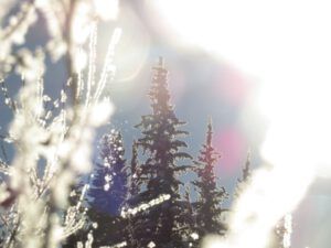 blurred sun and ice (Tatla Lake Santa Breakfast)