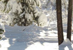 falling ice (Tatla Lake Santa Breakfast)
