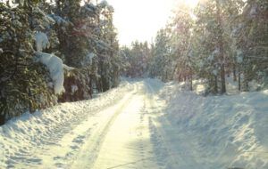 my road (Tatla Lake Santa Breakfast)