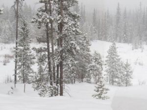 10 snowing (Snowed In Again.)