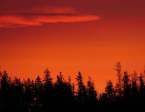 11 sunrise (January Thaws)