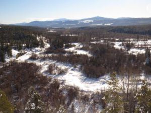 12 view south (The Days Are Getting Longer!)