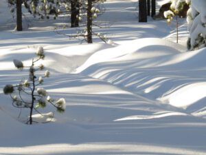 17 shadow pattern first (Snowed In Again.)