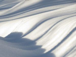 18 shadow pattern 1 (Snowed In Again.)