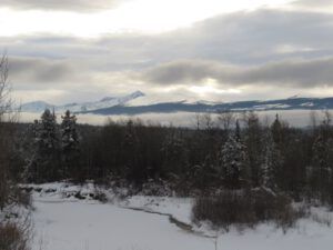 20 dull again 2 (Snowed In Again.)