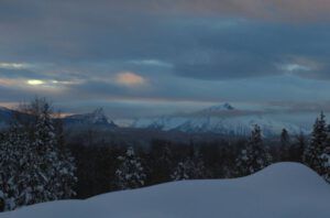 21 hint of clearing (Snowed In Again.)