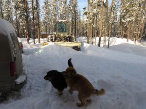 25 plough 2 (Snowed In Again.)