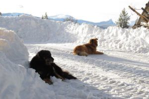 26heaps of snow (Snowed In Again.)